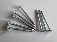 Stainless Steel Nails Manufacturer in India