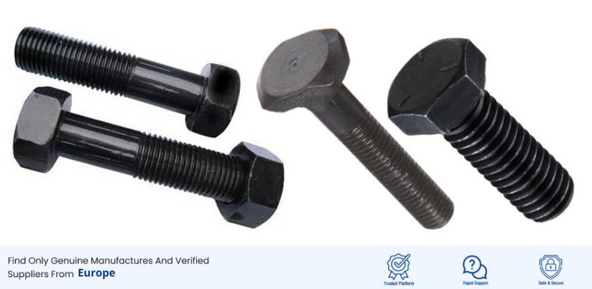 Carbon Steel Fasteners Manufacturer and Supplier in Europe