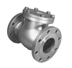 Duplex check valve Manufacturer in Europe
