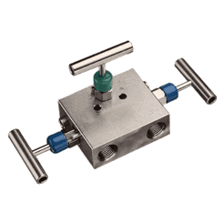Manifold valve Manufacturer in Europe