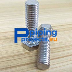 Stainless Steel Hex Bolts Manufacturer in Europe