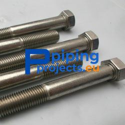 Stainless Steel Hex Bolts Supplier in Europe
